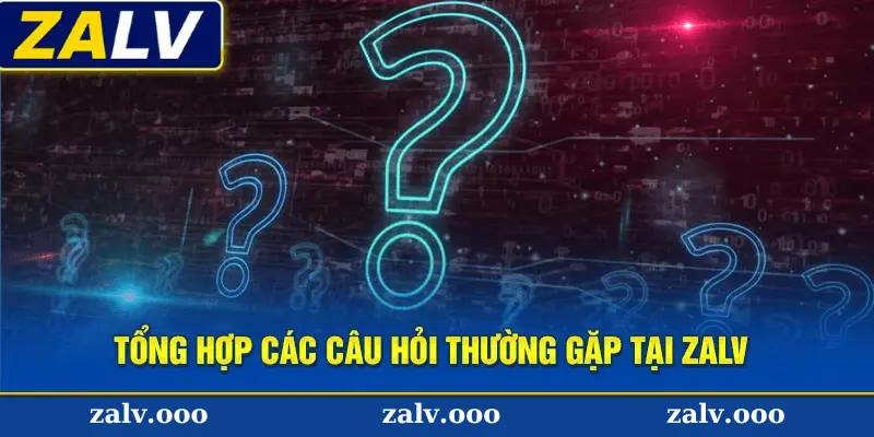 Tìm Hiểu Về Câu Hỏi Thường (FAQ) Zalv 