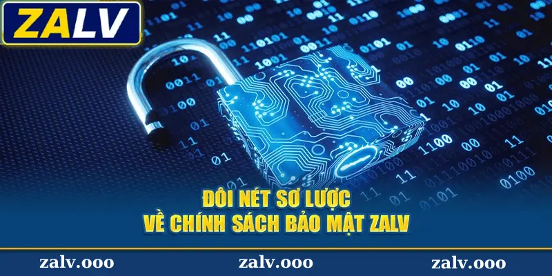 Tổng Quan Về Chính Sách Bảo Mật Của Zalv