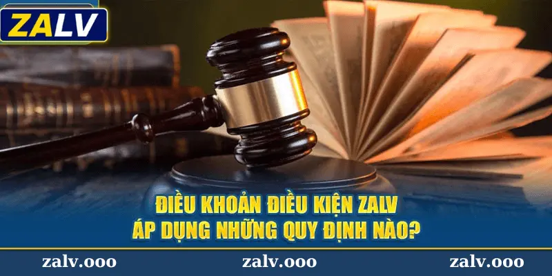 Những Câu Hỏi Phổ Biến Về Điều Khoản Điều Kiện Zalv