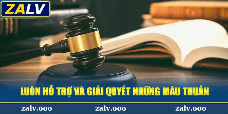 Các Quy Định Liên Quan Đến Điều Kiện Zalv