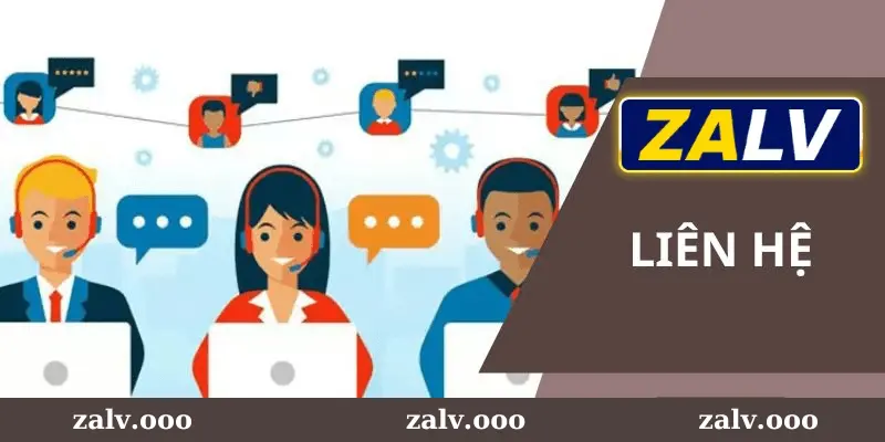 Sơ Lược Về Dịch Vụ Liên Hệ Hỗ Trợ Tại Zalv